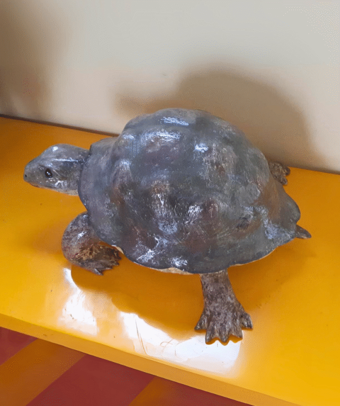 Animal Sculpture - Image 13