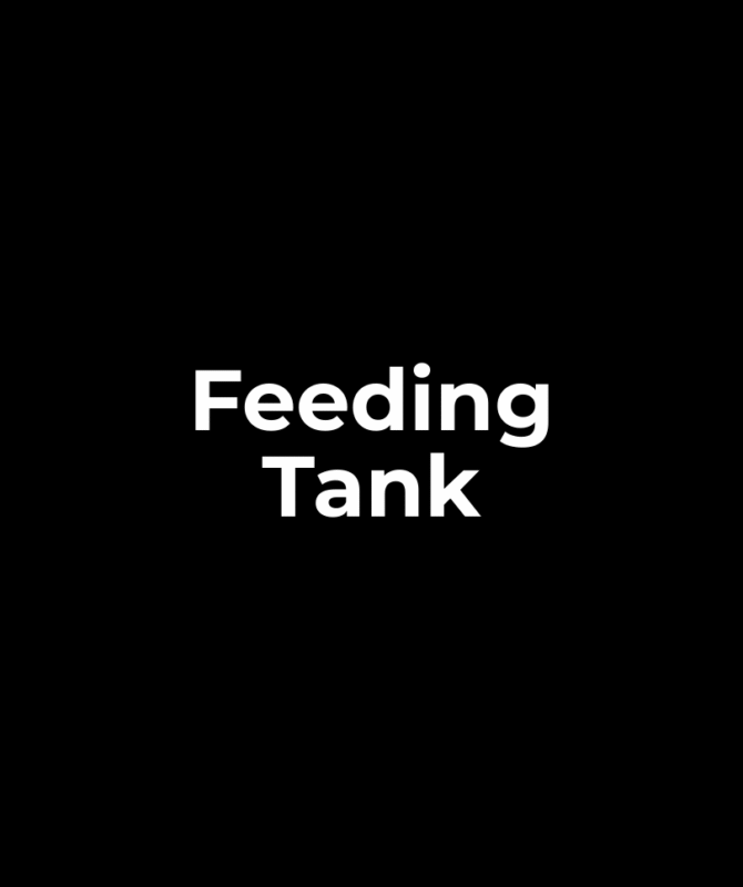 Feeding Tank