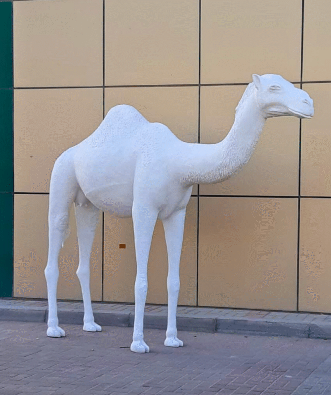 Life Size Camel - Image 3