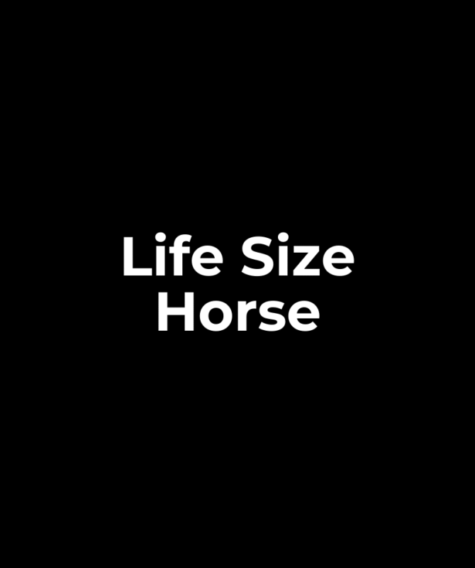 Life Size Horse