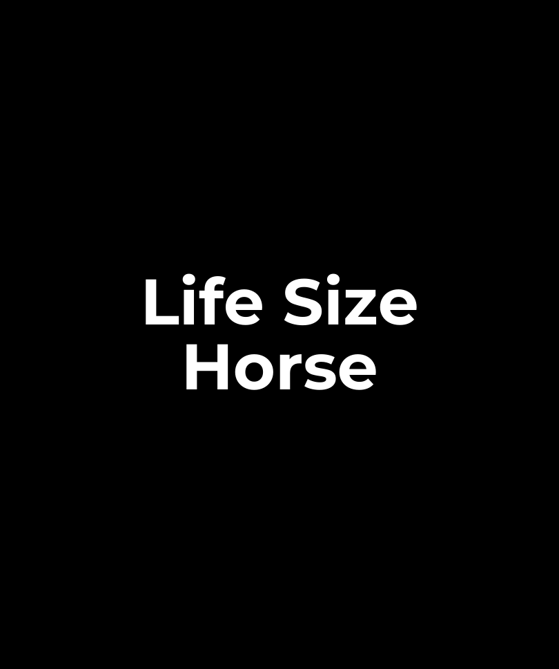 Life Size Horse