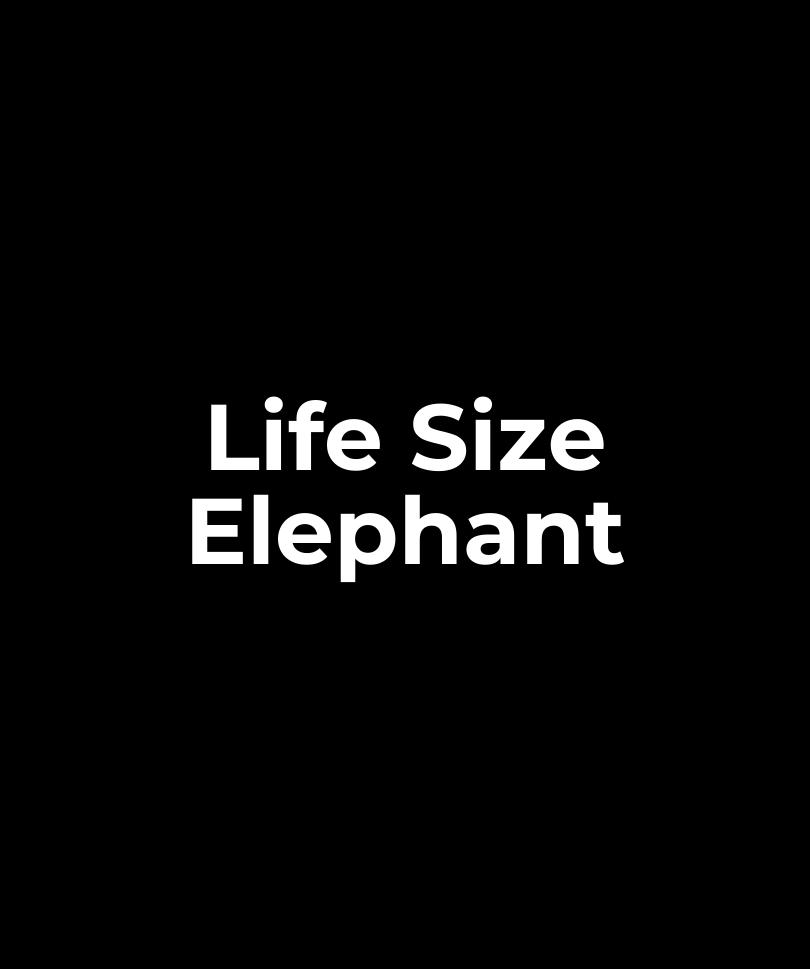 Life Size Elephant