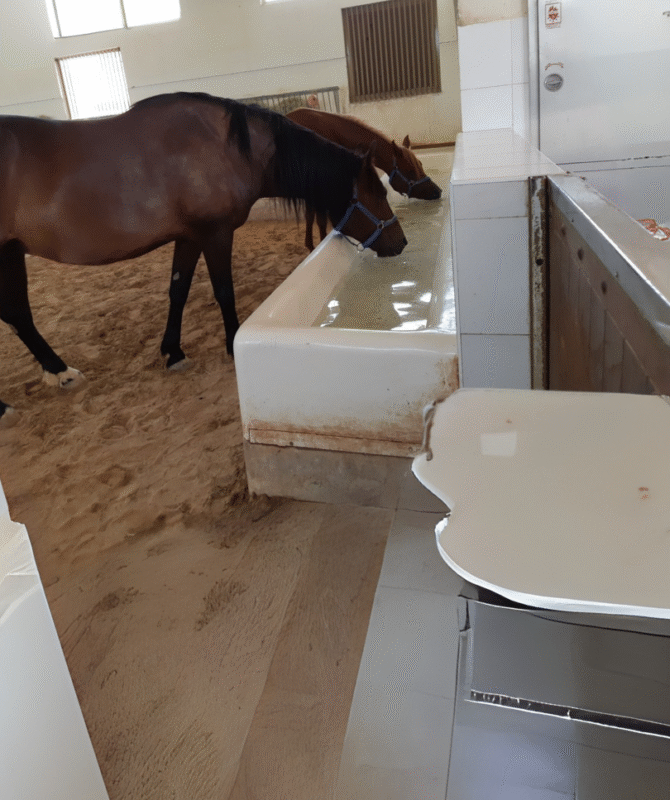 Feeder Tray - Image 4