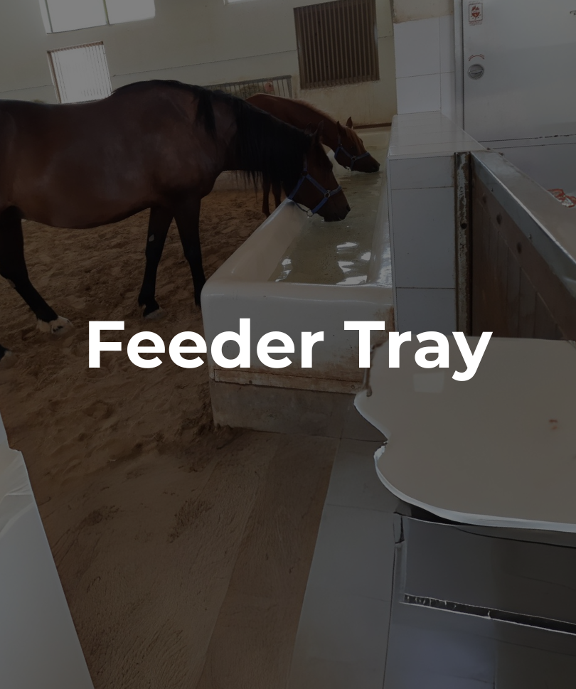 Animal Feeder Tray