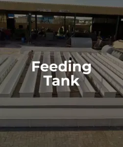 Feeding Tank